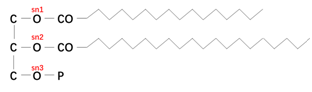ͼ2