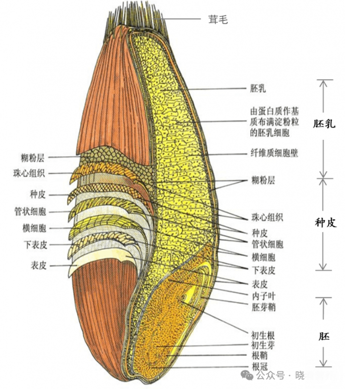 ͼƬ