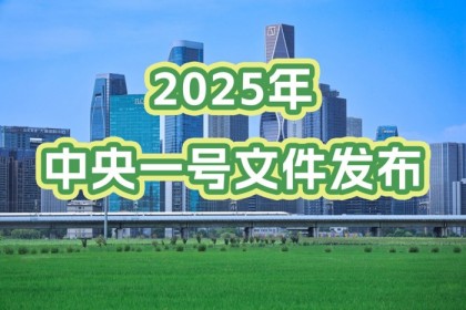  2025һļ